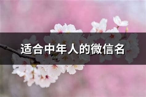 中年人微信名|适合中年人用的微信名字大全(优选498个)